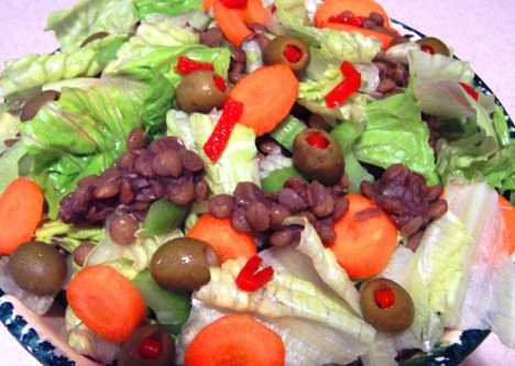Vegan Dinner Salad with Lentils